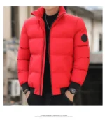 Men’s Thickened Down Jacket – Warm Cold-Resistant Winter Coat 2024 - Image 2